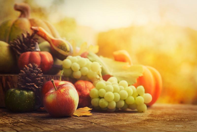A chief contributor to the U.S.' economy is its agriculture.